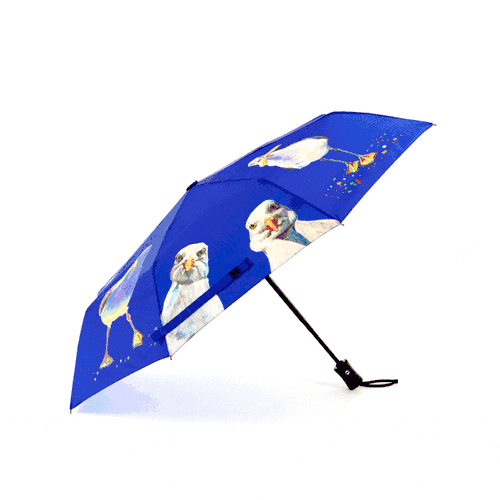 Blue Seagull Compact Umbrella - 8 Panel Design