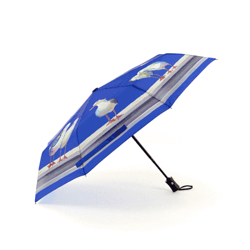 Blue Seagull Compact Umbrella - 