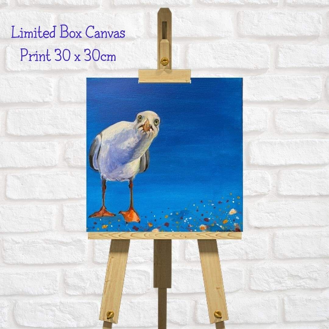 Seagull Art Square Canvas Print “Yes You!”