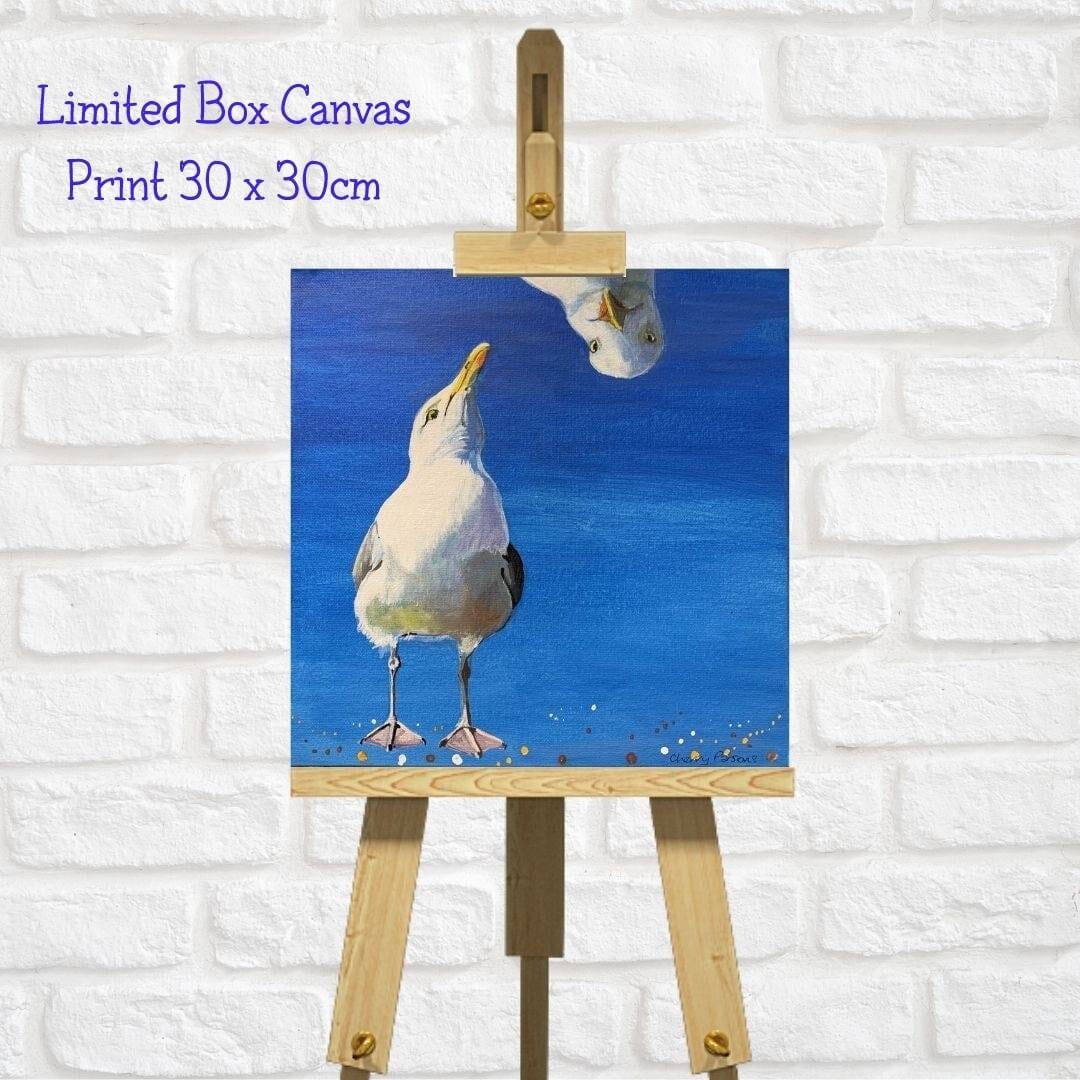 Seagull Art Square Canvas Print “Billy Sugger”