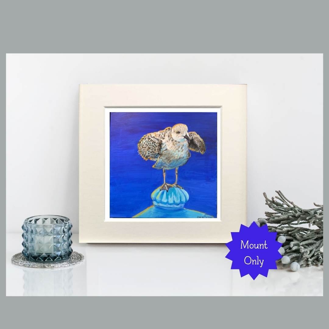Seagull Art Print in Square Mount - 