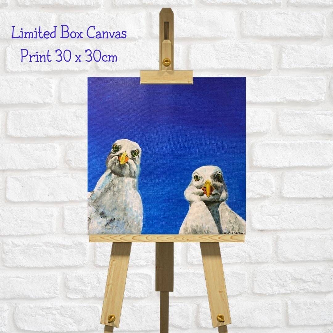 Seagull Art Square Canvas Print  – Coastal Bird Art “Selfie”