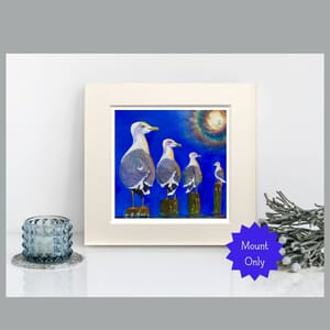 Seagull Art Print in Square Mount 
