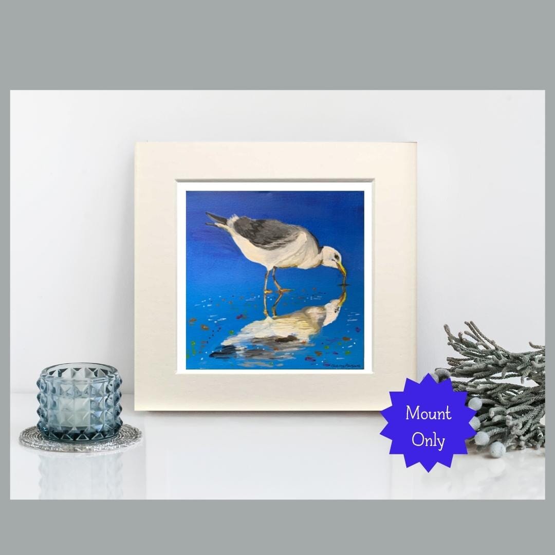 Seagull Art Print in Square Mount - Valentine 