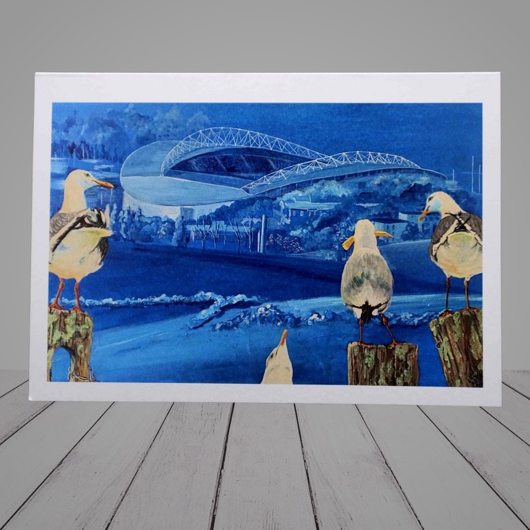Greeting Card –  seagulls watching Brighton and Hove Albion football stadium “Seagulls”