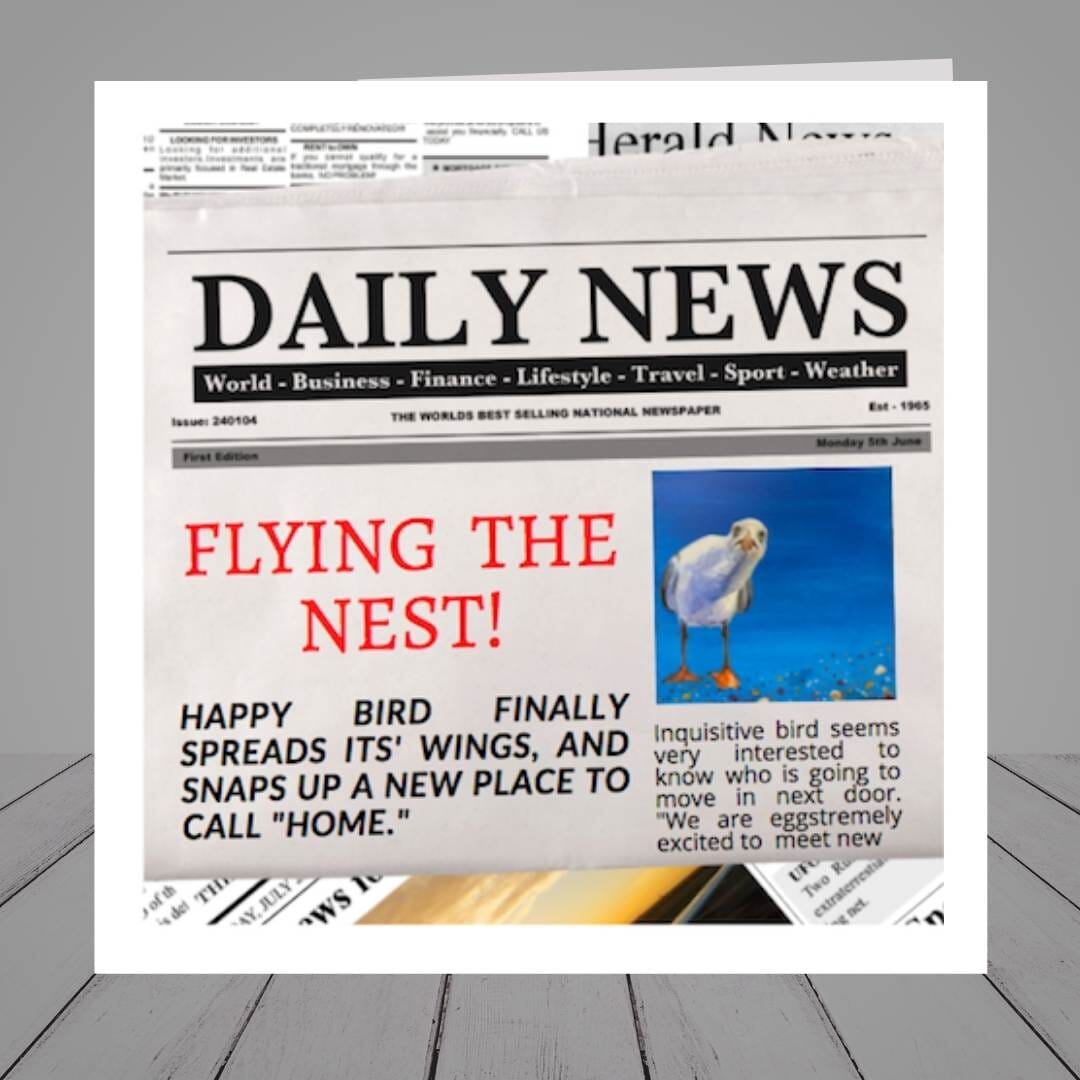 New Home – Seagull Newspaper Design “Flying The Nest”