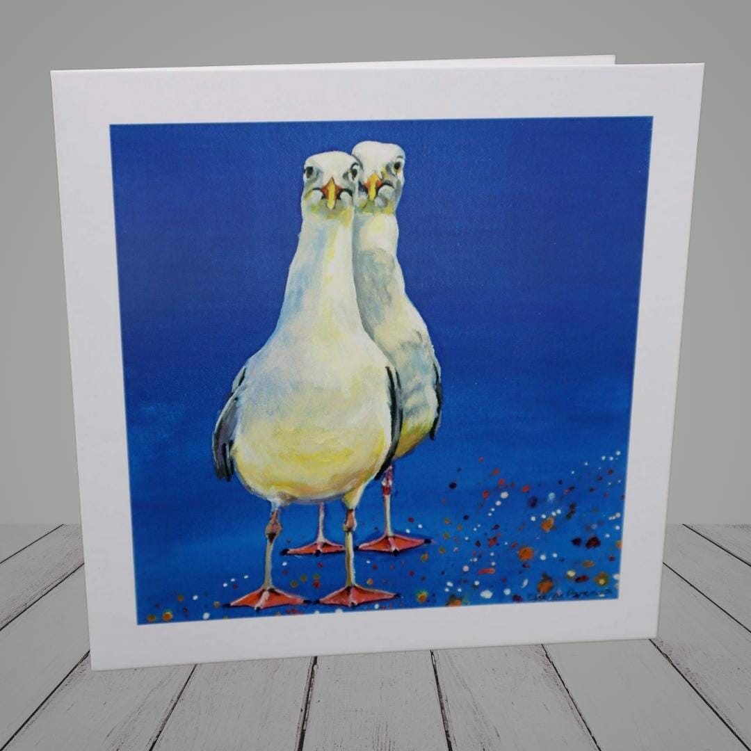 Greeting Card –  Seagulls in love -“You Followin’ Me?”