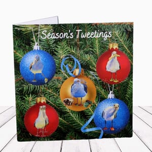 Festive Greeting Card Seagull Christmas Card 