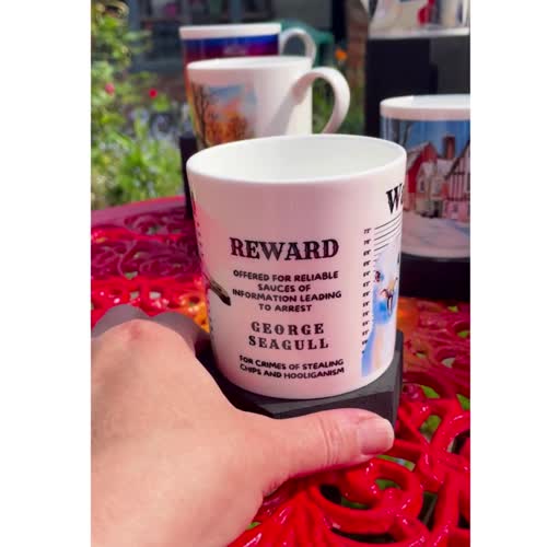 Seagull Mug – Fine Bone China- “Mug Shot” White